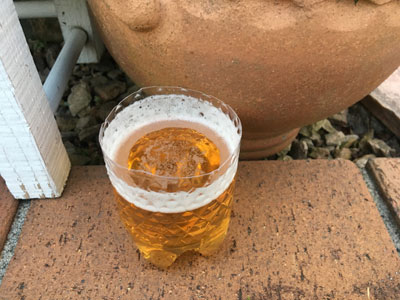 ビールトラップ
