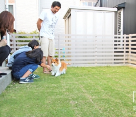 樹脂板フェンスで囲い愛犬と遊べるドッグラン｜長岡市F様邸